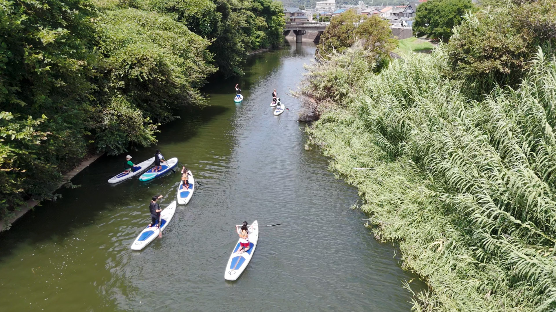 上空からの記念撮